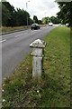 Coal Tax Post, Leaves Green in BR2 6DU