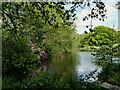 Small lake, Peover Hall estate in WA16 9HE