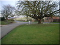 Village green and road junction at Fimber in YO25 9FW