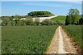 Farmland, Shalbourne in RG17 0RH