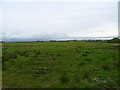 Rough grazing, Busbiehead in KA3 2LU