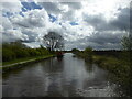 Llangollen Canal approaching Roving Bridge in SY13 2QF