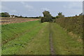 Bridleway to Drove Lane in CB7 5XY