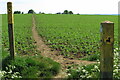 Footpath towards Bury End in SG5 3PE