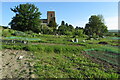 Allotments beneath All Saints in SG5 3PN