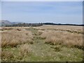 Rashy pasture, Cairnmuir in FK10 3QW