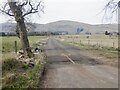 Road to Lawmuir Wood in FK14 7LY
