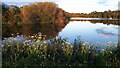 Evening light on Little Testwood Lake in SO40 2RU