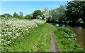 Towpath along the Worcester and Birmingham Canal in B60 1LS