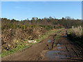 Track past Sutton's Plantation in NR13 5JB