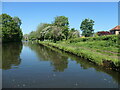 The Bridgewater Canal at Grappenhall in WA4 2SF