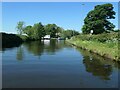 Bridgewater Canal, near Stockton Lane, Grappenhall in WA4 3EP