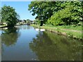 Bridgewater Canal, west of Lumb Brook Road in WA4 2BW