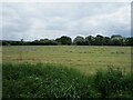Hay field near Bednall in ST17 0SP