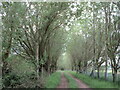Woodland track near Drayton Manor in ST18 9AE