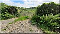 Field gateway on south side of rural road opposite Sawmill Wood in CA6 5TS