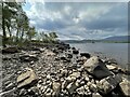 The shoreline of Loch Rannoch in PH17 2YA