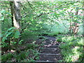 Stepped woodland footpath leading to the Mill of Ardoch in FK15 9QA