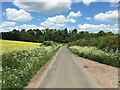 Lane approaching Ashe Arch in RG25 3BS