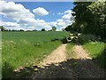 Farm track - Polhampton Farm in RG25 3BS