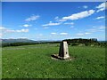 Triangulation pillar on King's Seat 295m in EH26 8QG