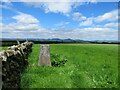 Trig pillar on Toxside Hill 299m in EH23 4SY