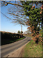 Looking north along Hare Road in NR13 5DB