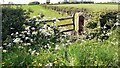 Field gateway on NW side of minor road west of Willow Hill in CA6 6DD