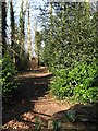 Path through Key's Hill Wood in NR12 8UN