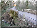 Hunter's Bridge (3) near Longburton, Dorset in DT9 5PN