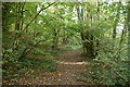 Footpath, White's Wood in TN18 5AX