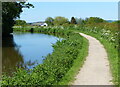 Towpath along the Worcester and Birmingham Canal in B48 7DE