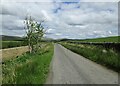 Minor road near Conrick in DG4 6EU