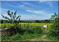 View to Manchester from Littlemoor Road in SK14 6DU