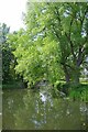 Upstream on the River Stour in CO10 7HX