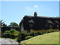 Thatched houses in Heydon in SG8 8TH