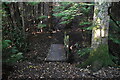Footbridge, Milldown Wood in Beckley (Rother)