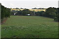 Fields, Kings Bank Farm in Beckley (Rother)