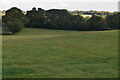 Farmland, Kings Bank Farm in Beckley (Rother)