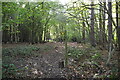 Footpath waymarker, Bixley Wood in Beckley (Rother)