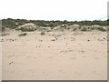 Sand dunes south of St Combs in AB43 8XL