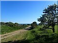 Track on the South Downs above Telscombe in BN10 7DR
