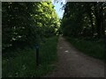 Trail in Blackwood Forest in SO21 3BQ