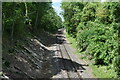 Railway cutting at North Burcombe in SP2 0EQ