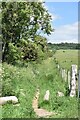Start of path to Grovely Wood in Barford St. Martin