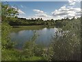 Pond at North Edge of Kingshill Local Nature Reserve in ML7 5AL