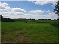 Fields near Holyoakes Pit in B97 5SP