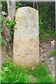 Old Boundary Marker on the road between Chilton Cantelo and Hinton in BA22 8RS