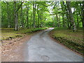 Woodland enclosed minor road near to Belladrum in IV4 7HU
