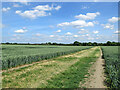 Path through wheat to Barton Road in CB3 9LL